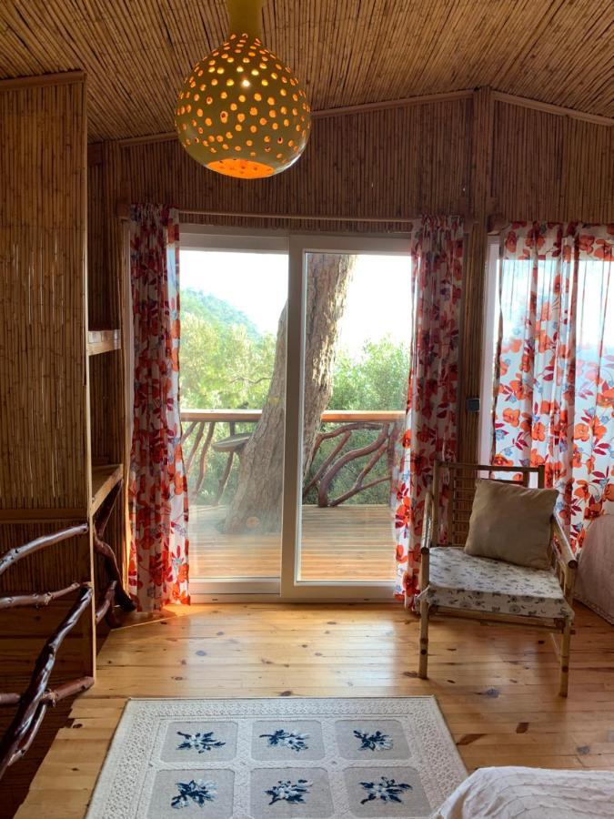 Large Bungalow With Sea View In Kabak Bay, Oeluedeniz Fethiye Exterior photo